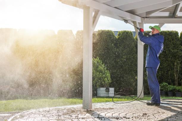 Best Fence Cleaning and Maintenance in Lakewood, OH